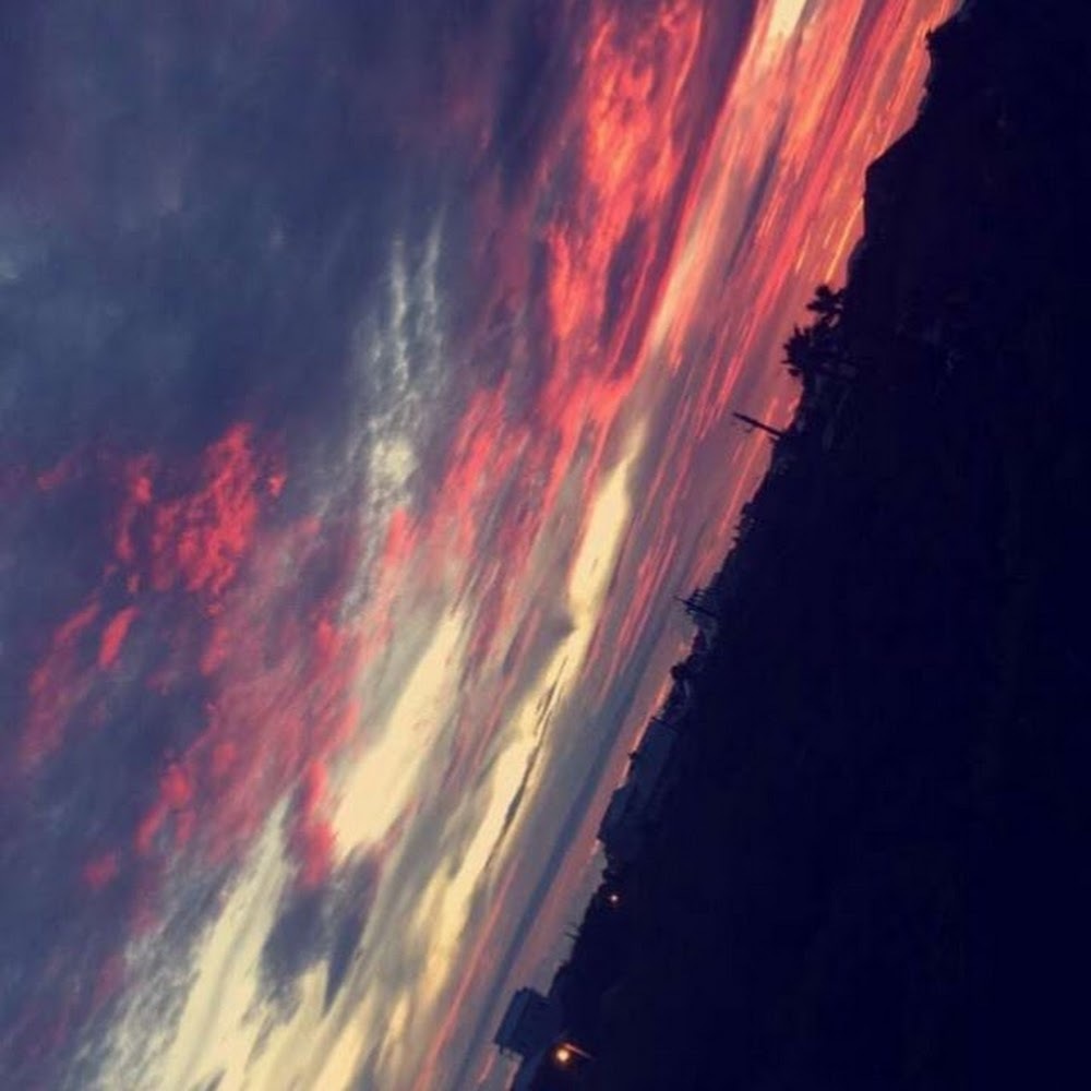 Meet your Posher, Ella